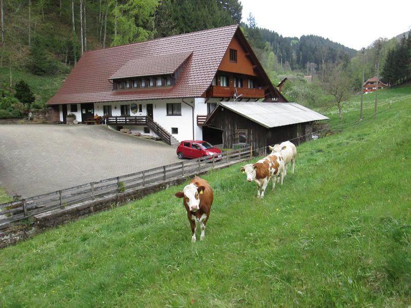Hinterkimmighof Apartment Оберхармерсбах Екстериор снимка
